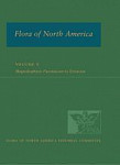 Flora of North America Volume 8 Magnoliophyta Paeoniaceae to ericaceae