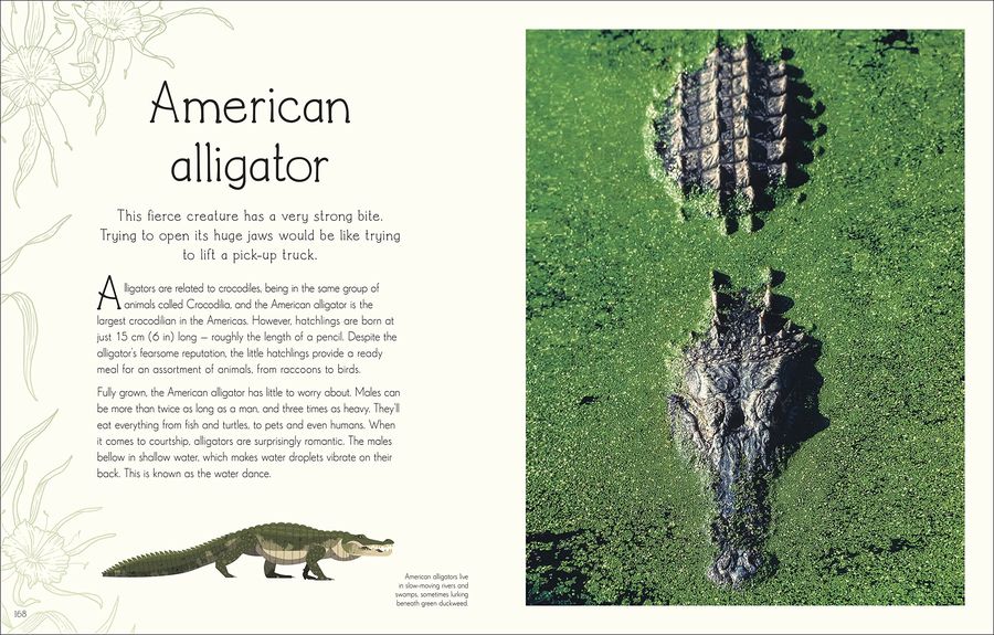 An Anthology of Aquatic Life