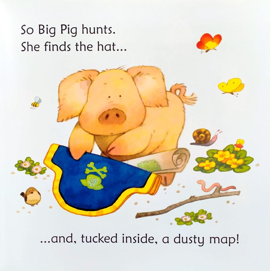 Usborne Phonics Readers Big Pig on a Dig