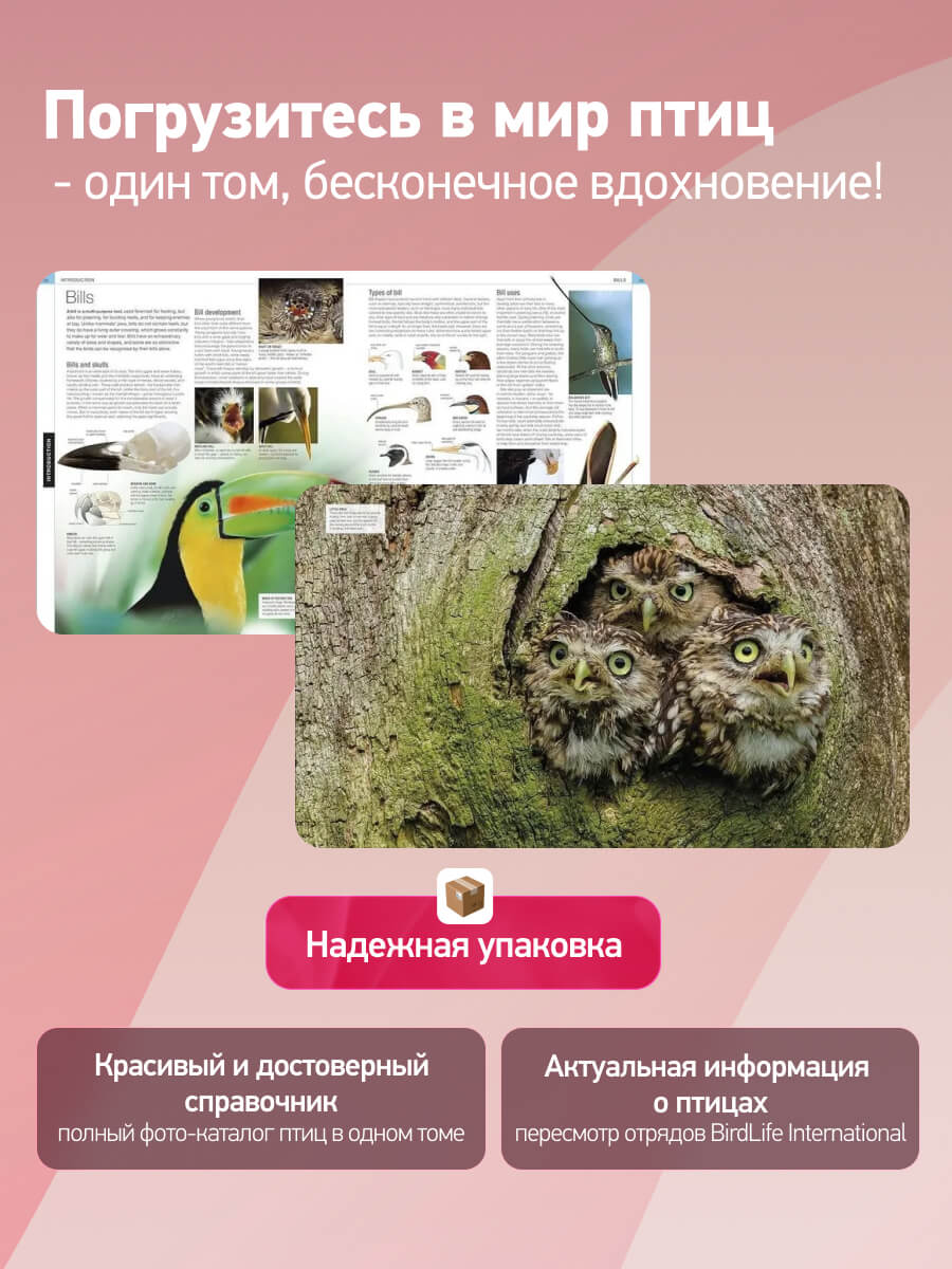 Bird The Definitive Visual Guide