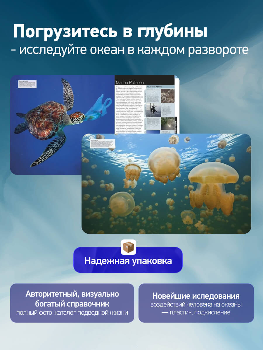 Ocean The Definitive Visual Guide