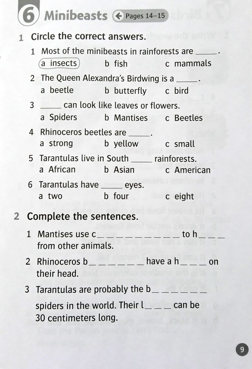 Oxford Read and Discover 3 Life in Rainforests Activity Book