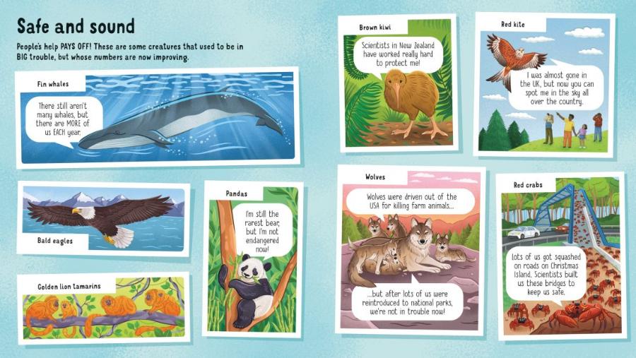 Usborne Lift-the-Flap Look Inside Animals in Danger