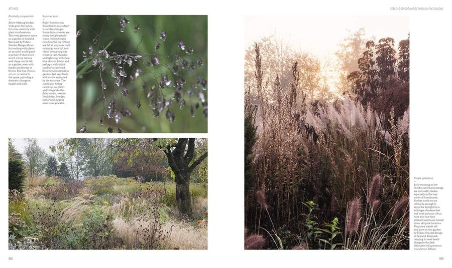 New Nordic Gardens Scandinavian Landscape Design