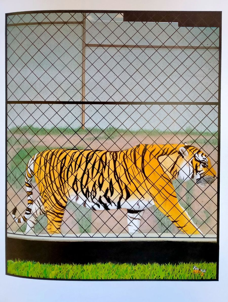 Zoo