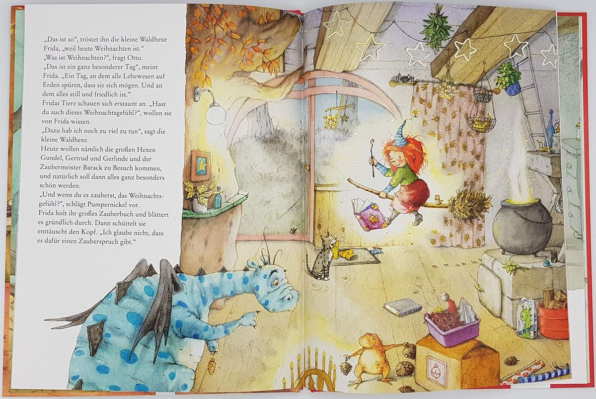 Frida die kleine Waldhexe Platzchenzauber, Kuchenstuck