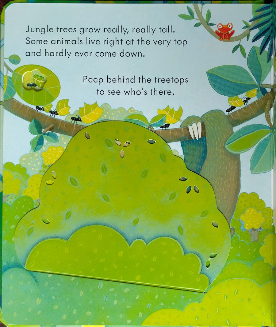 Usborne Peep Inside the Jungle