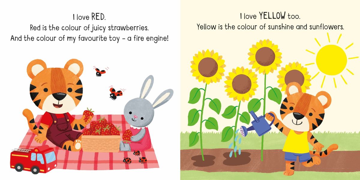 Usborne Little Board Books Colours