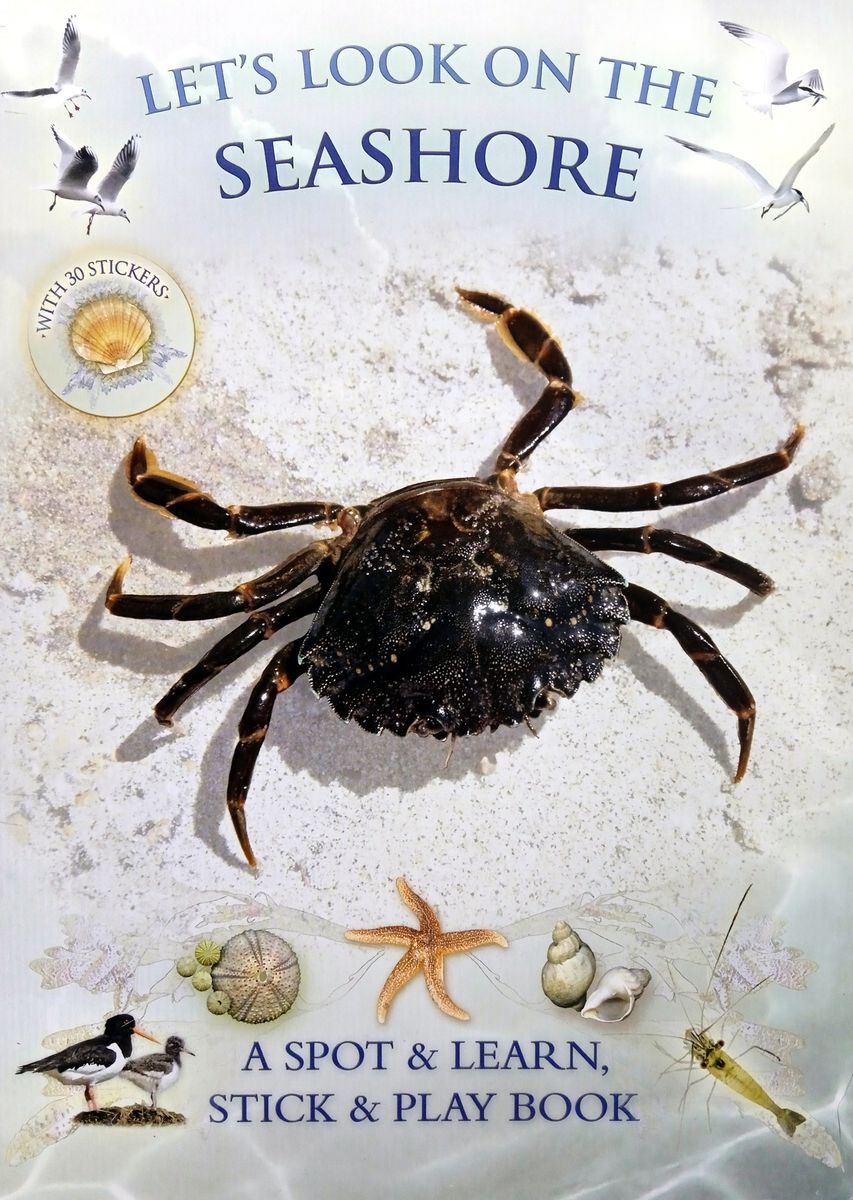 Let's Look on the Seashore: A Spot and Learn, Stick and Play Book