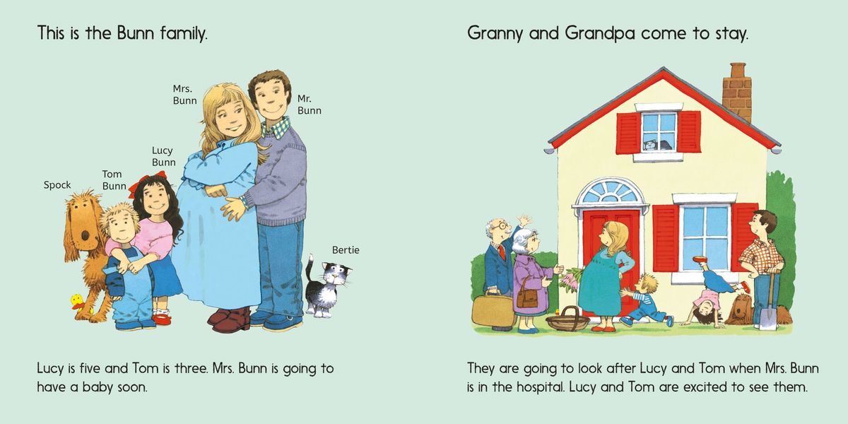 Usborne First Experiences The New Baby