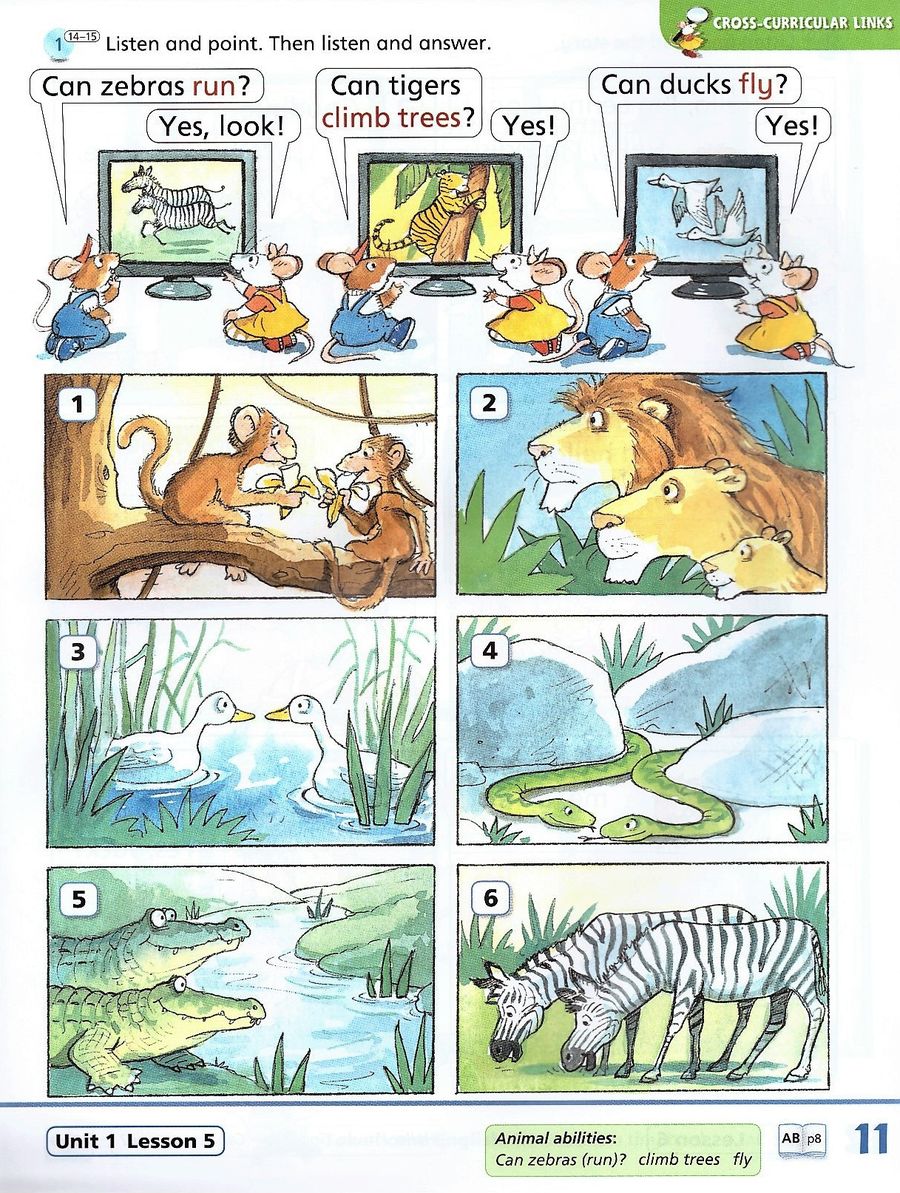 Happy  House New Edition 2 Class Book