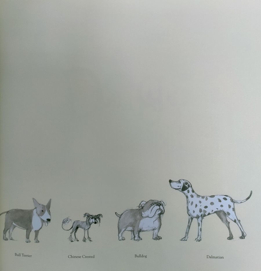Dogs