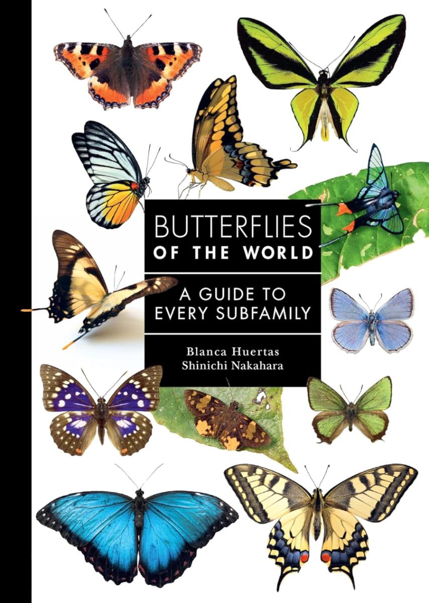 Butterflies of the World A Guide to Every Subfamily