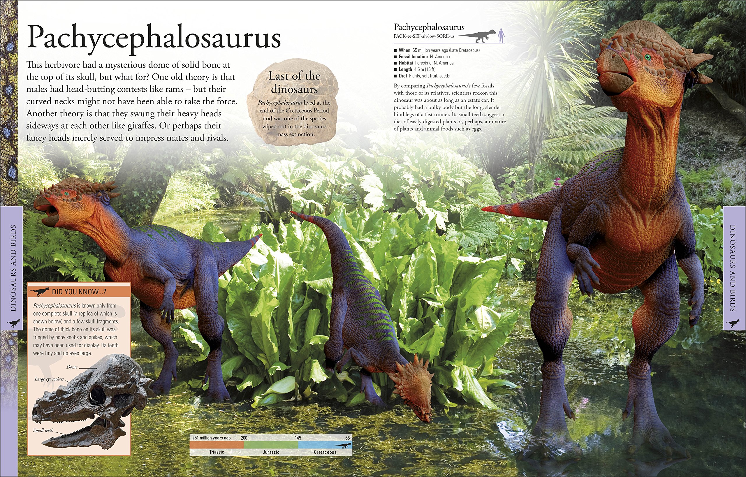 Dinosaurs A Children's Encyclopedia
