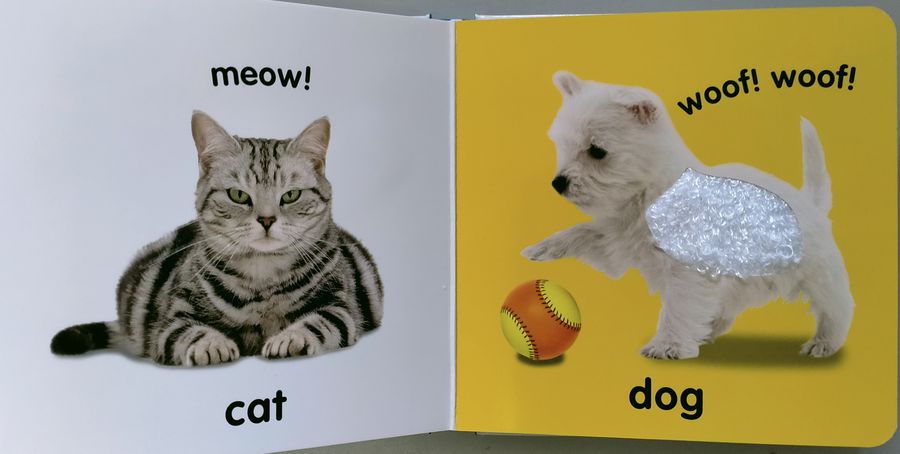 Baby Touch and Feel First Words