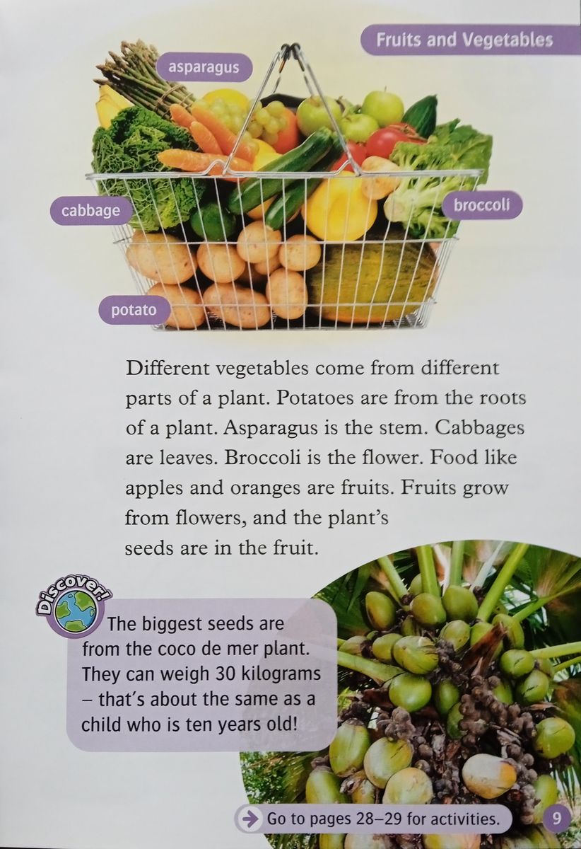 Oxford Read and Discover 4 All About Plants