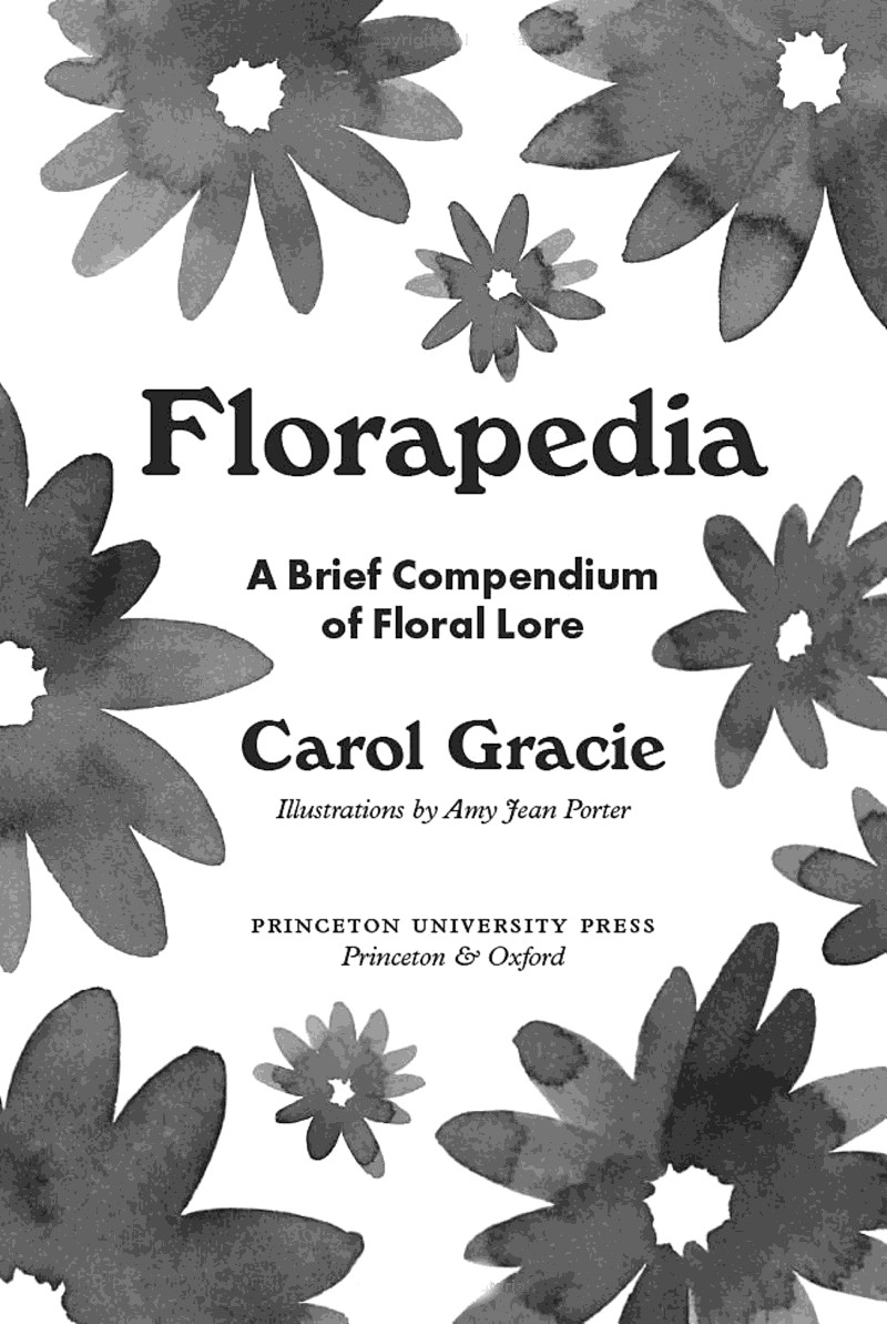 Florapedia A Brief Compendium of Floral Lore