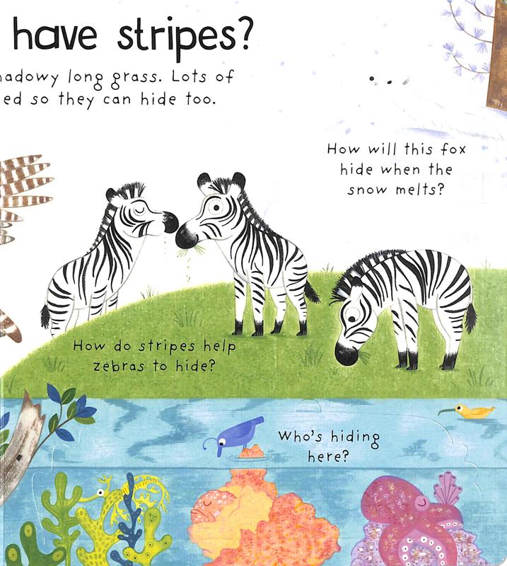 Lift-the-Flap First Questions and Answers Why Do Tigers Have Stripes