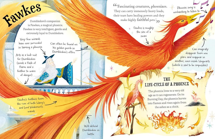 Professor Dumbledore Mini-Guide Hardback Edition