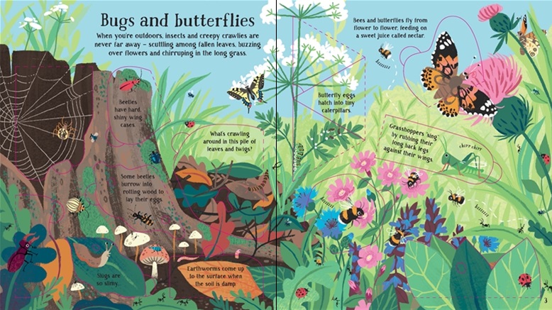 Usborne Look Inside Nature