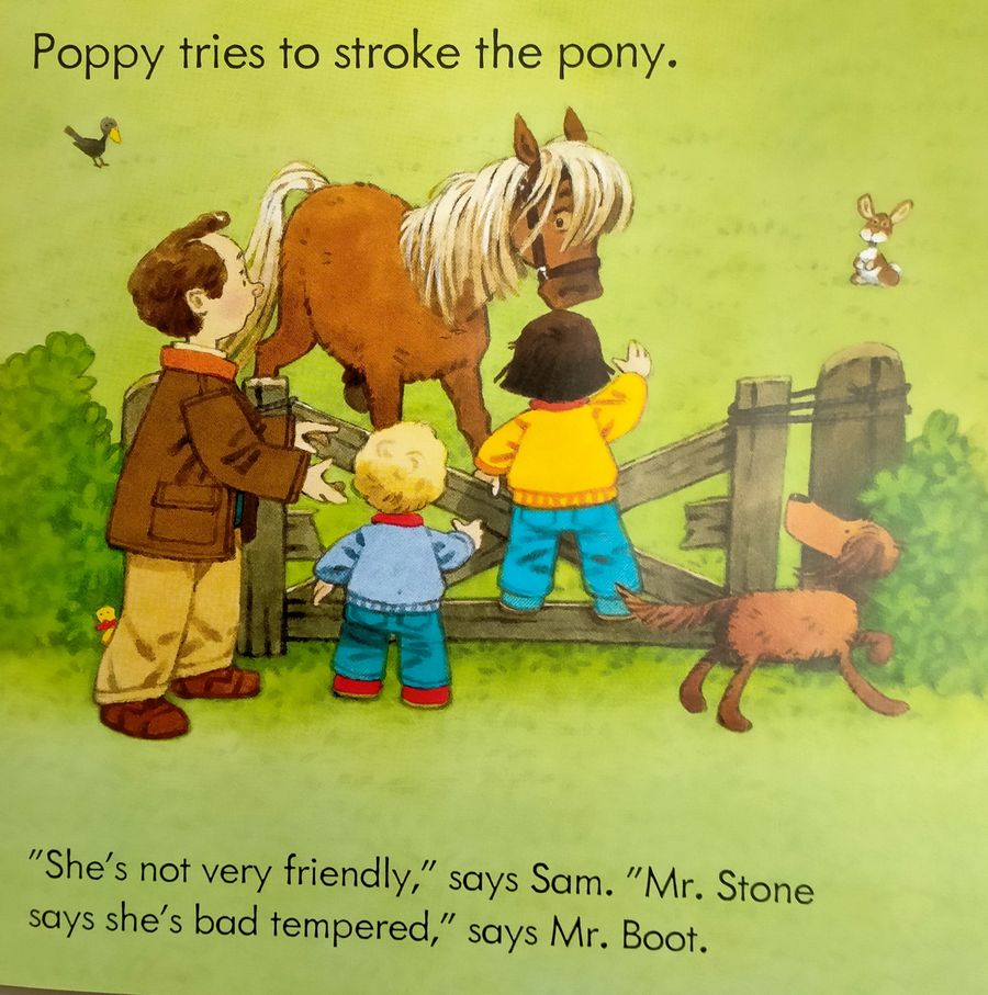 Usborne Farmyard Tales The New Pony