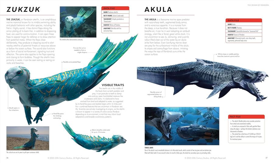Avatar Fire and Ash The Visual Dictionary