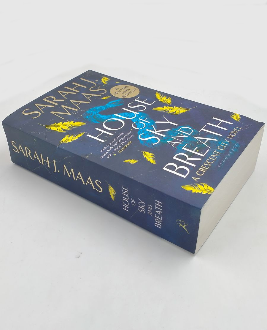 A Crescent City 2 House of Sky and Breath