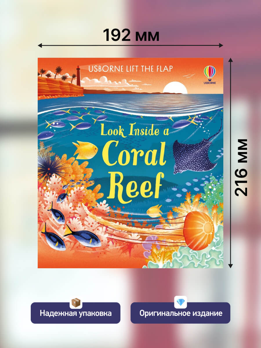 Usborne Lift-the-Flap Look Inside a Coral Reef