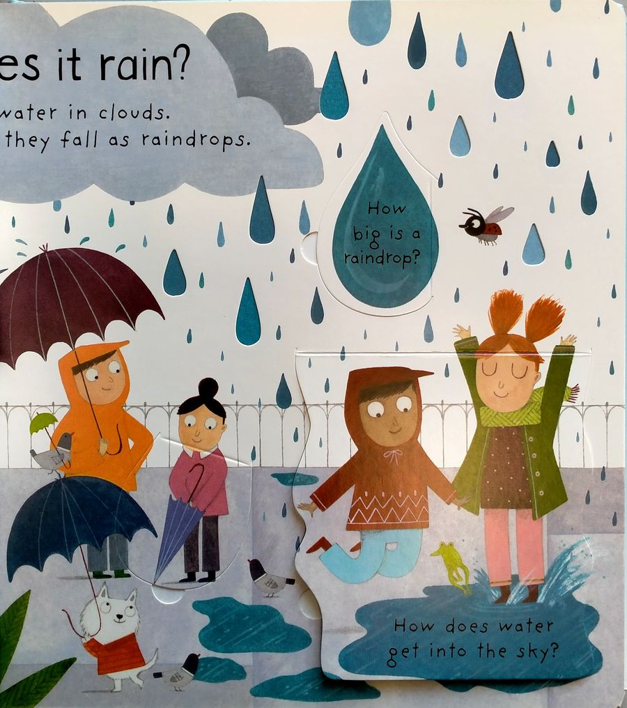 Lift-the-Flap First Questions and Answers What Makes it Rain