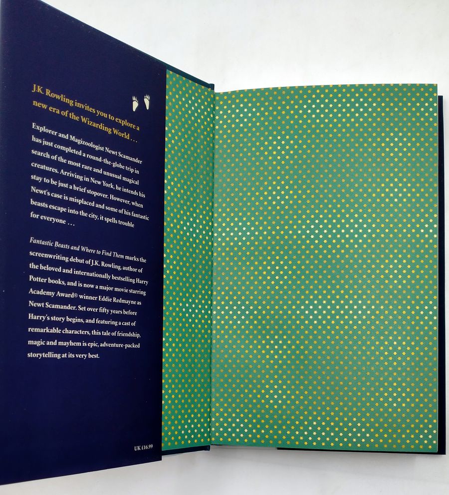 Fantastic Beasts and Where to Find Them The Original Screenplay Hardback