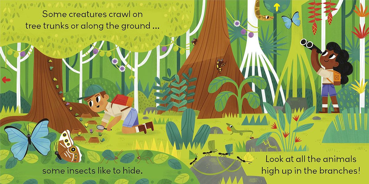 jungle journey a push and pull adventure (little world)