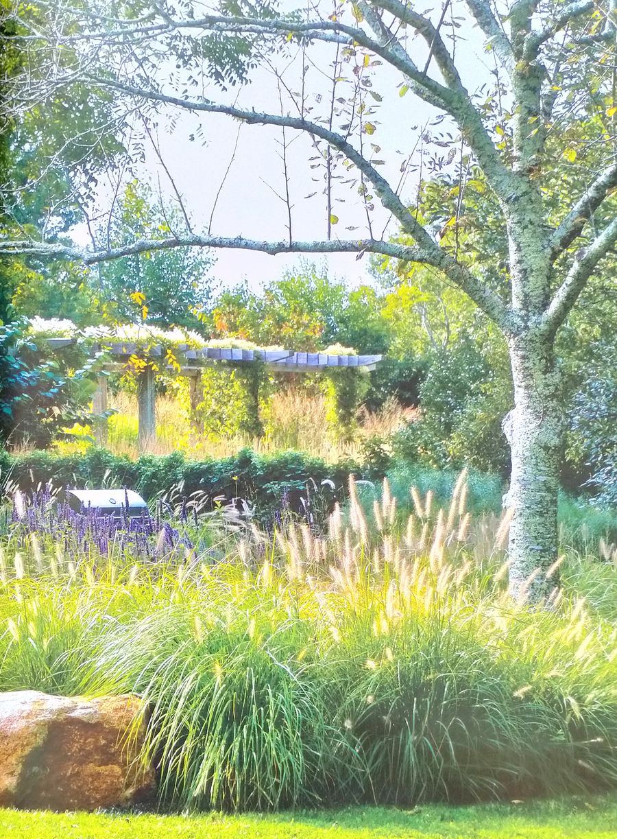 Garden Wild