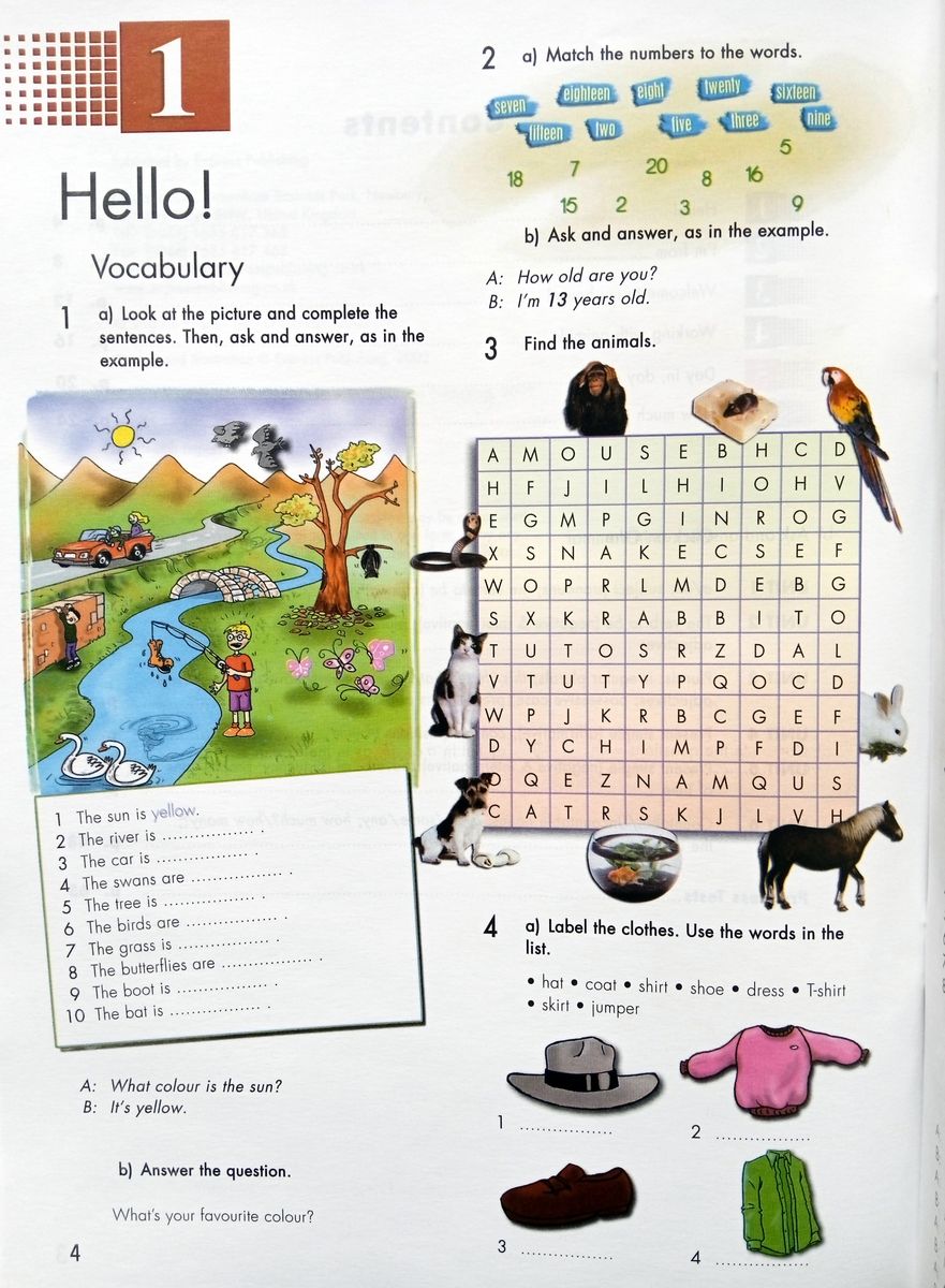Click On  Starter Student's Workbook