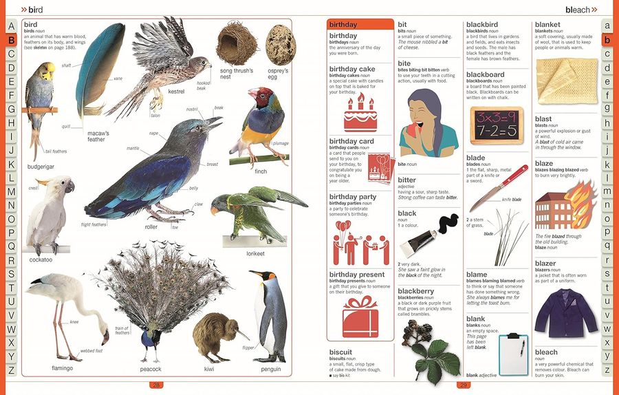 Children's Illustrated Dictionary