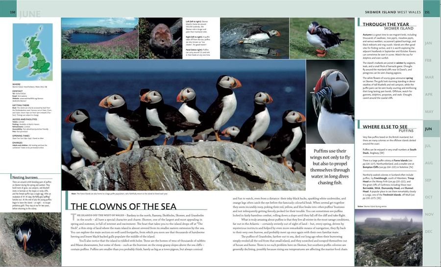 Where to Go Wild in the British Isles A Month-by-Month Guide to the Best Nature Experiences