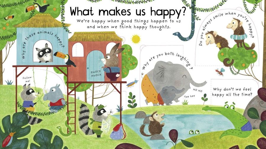 Lift-the-Flap First Questions and Answers What are Feelings?