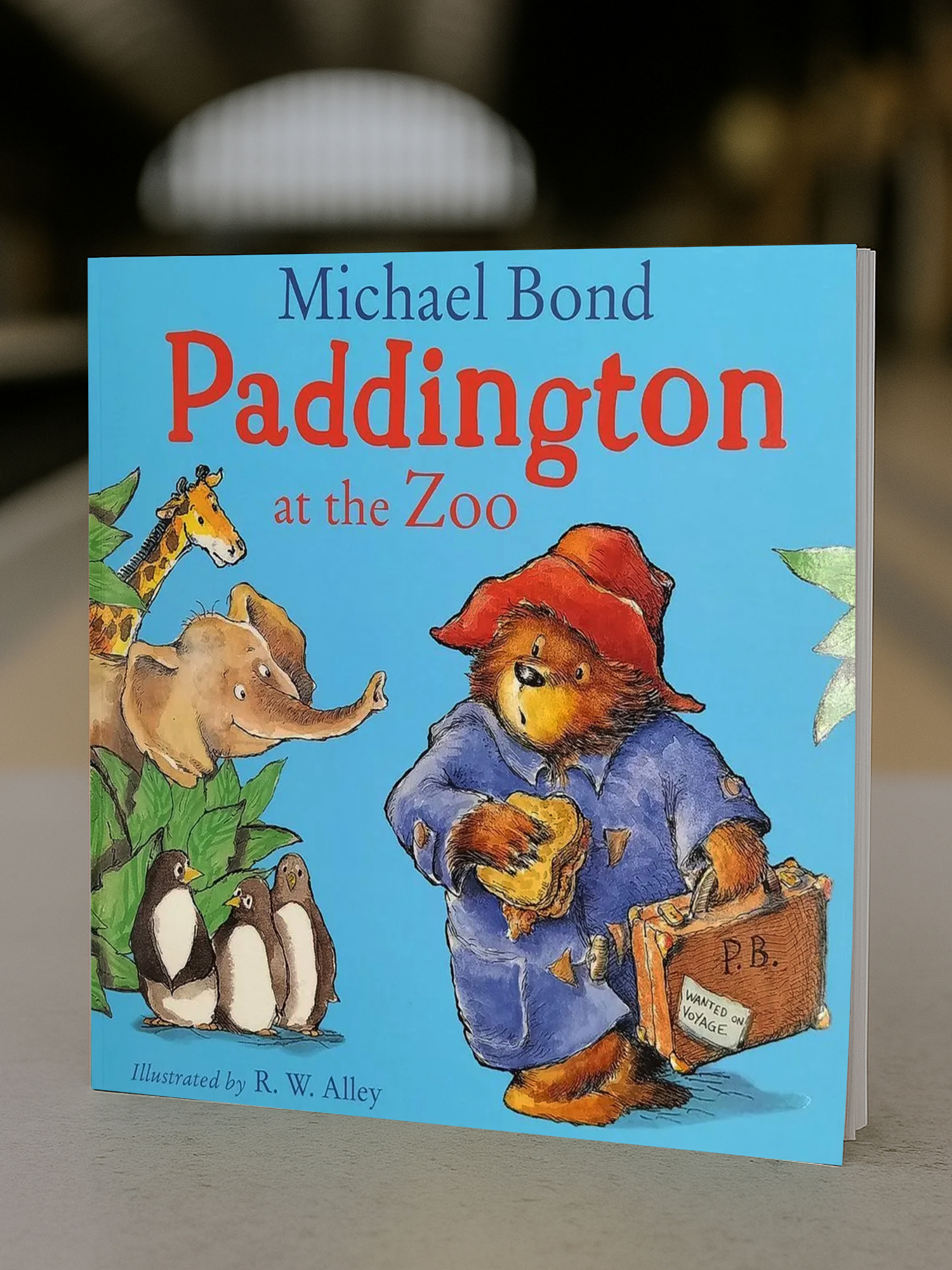 Paddington at the Zoo