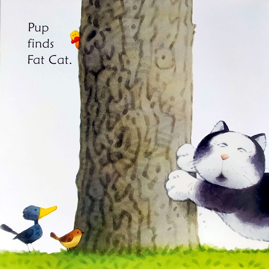Usborne Phonics Readers Shark in the Park