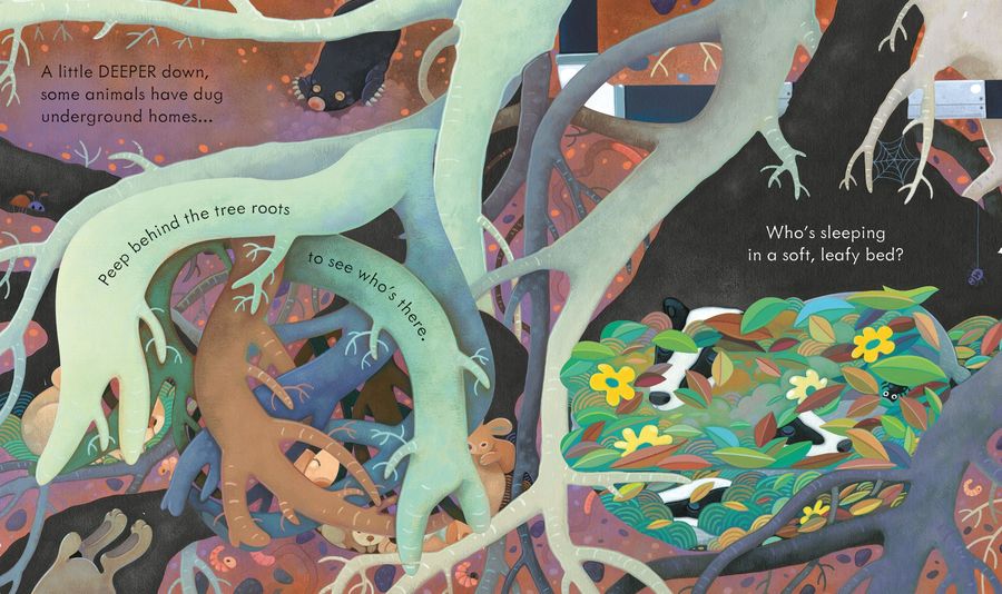 Usborne Peep Inside Under the Ground