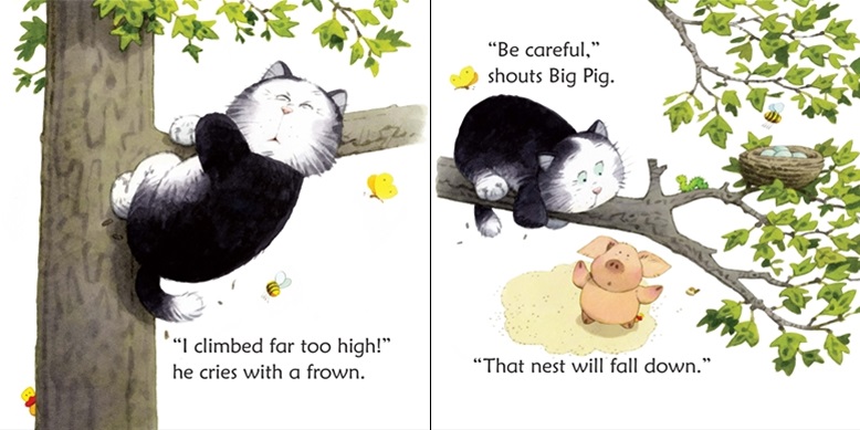 Usborne Phonics Readers Fat Cat on a Mat
