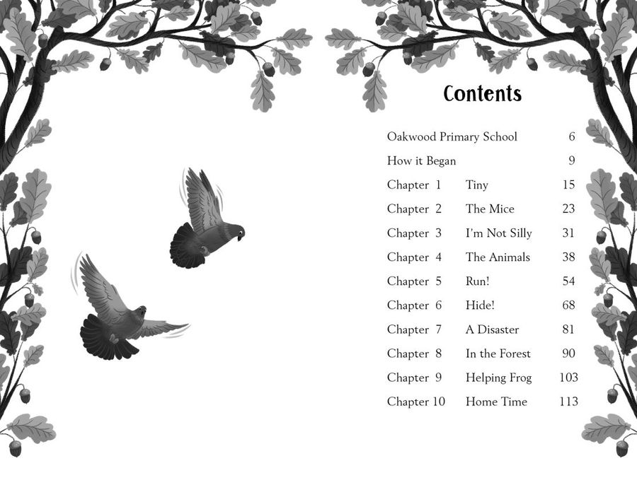 Tiny the Secret Adventurer