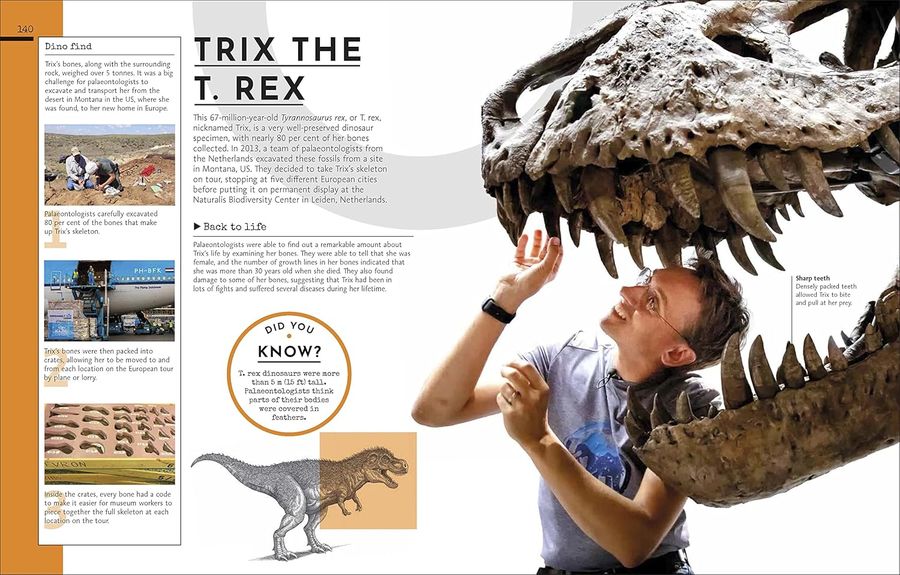 Behind the Scenes at the Museum Your Access-All-Areas Guide to the World's Most Amazing Museums