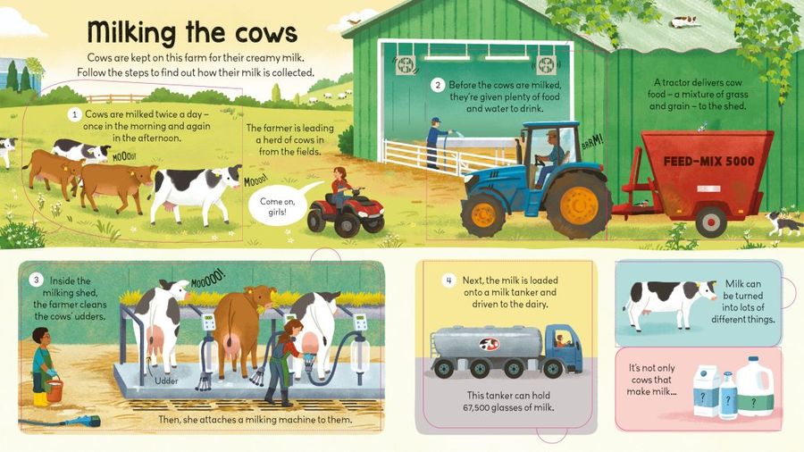 Usborne Lift-the-Flap Look Inside a Farm