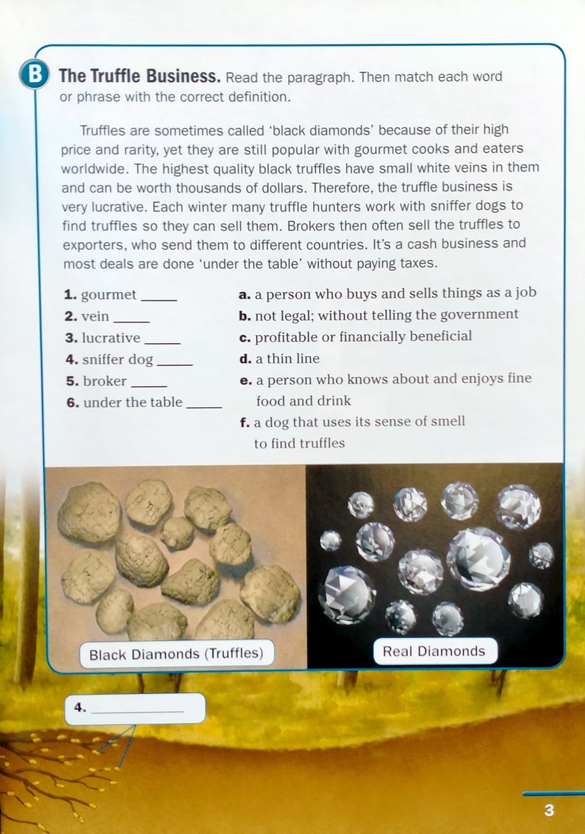 Footprint Reading Library 2200 Headwords The Black Diamonds of Provence with Multi-ROM (B2)