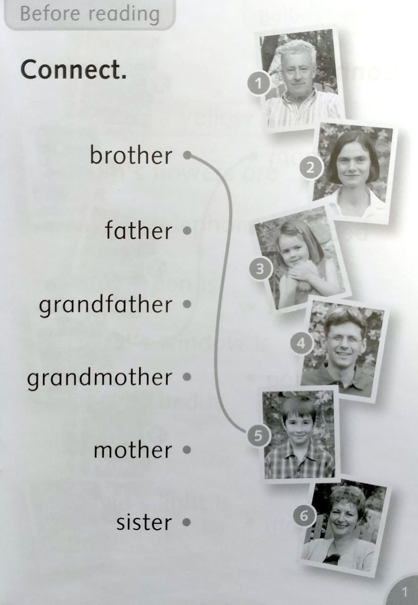 Dolphin Readers  Starter My Family Activity Book