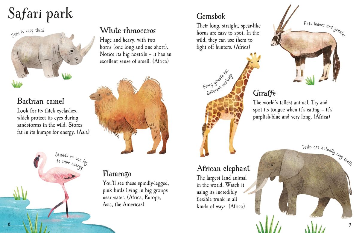 Usborne Minis Zoo Animals to Spot
