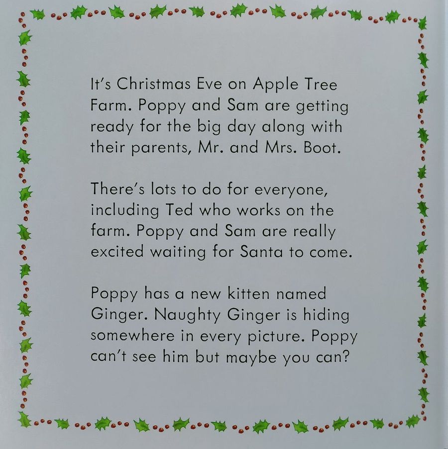 Usborne Farmyard Tales Poppy and Sam's Lift-the-Flap Christmas