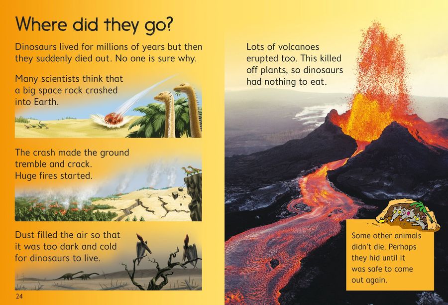 Usborne Beginners Dinosaurs