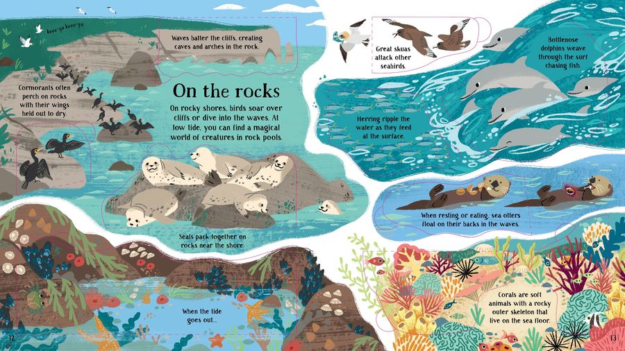 Usborne Look Inside Nature