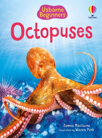 Usborne Beginners Octopuses